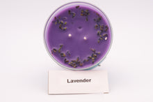 Load image into Gallery viewer, LAVENDER
